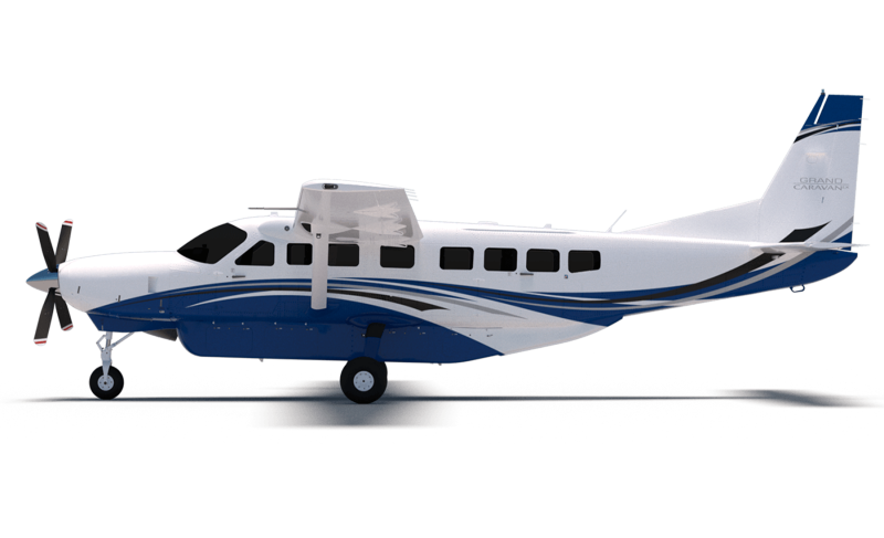 Cessna Caravan 208